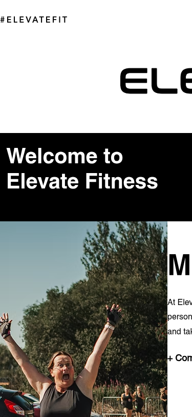 Elevate Fit old site — mobile